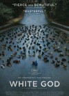 White God poster