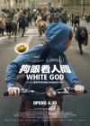 White God poster