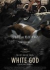 White God poster