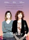 The Meddler poster