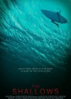 The Shallows poster