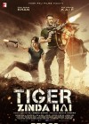 Tiger Zinda Hai poster