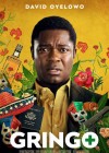 Gringo poster