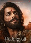 Padmaavat poster