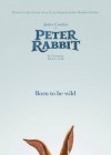 Peter Rabbit poster