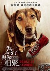 A Dog's Way Home poster