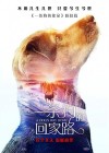 A Dog's Way Home poster