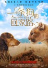 A Dog's Way Home poster