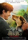 A Dog's Way Home poster