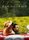 The Art of Racing in the Rain poster