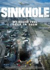 Sinkhole poster