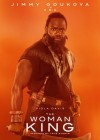 The Woman King poster