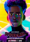 Spider-Man: Across the Spider-Verse poster