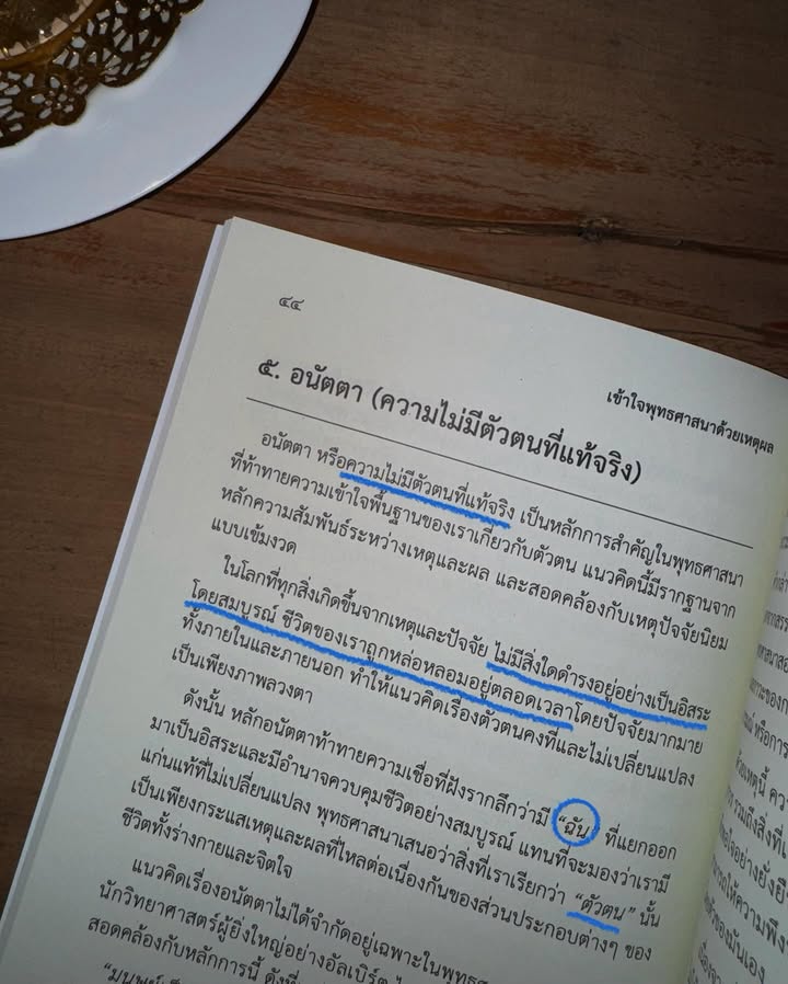 แพต - ชญานิษฐ์ ชาญสง่าเวช