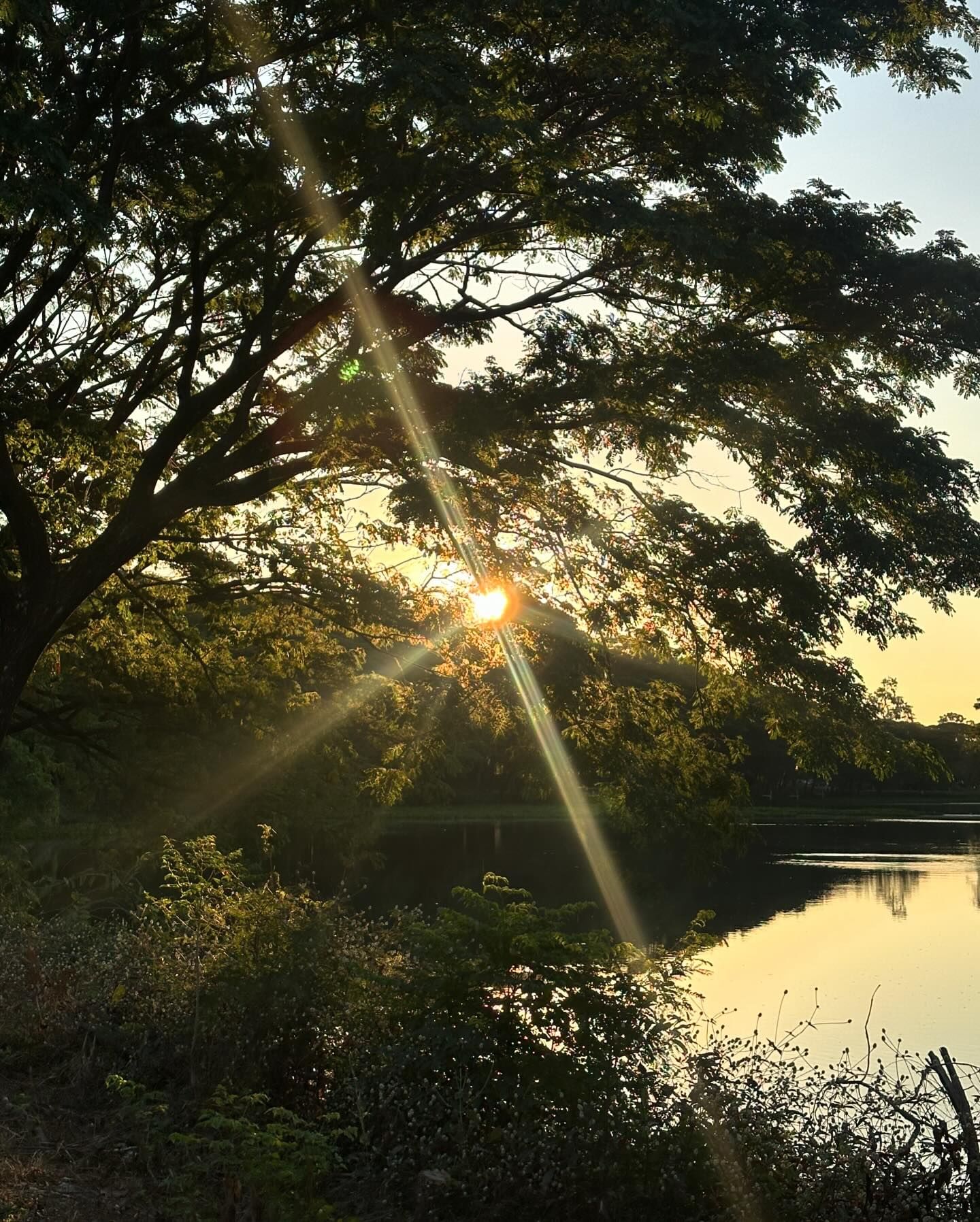 อาย - กมลเนตร เรืองศรี