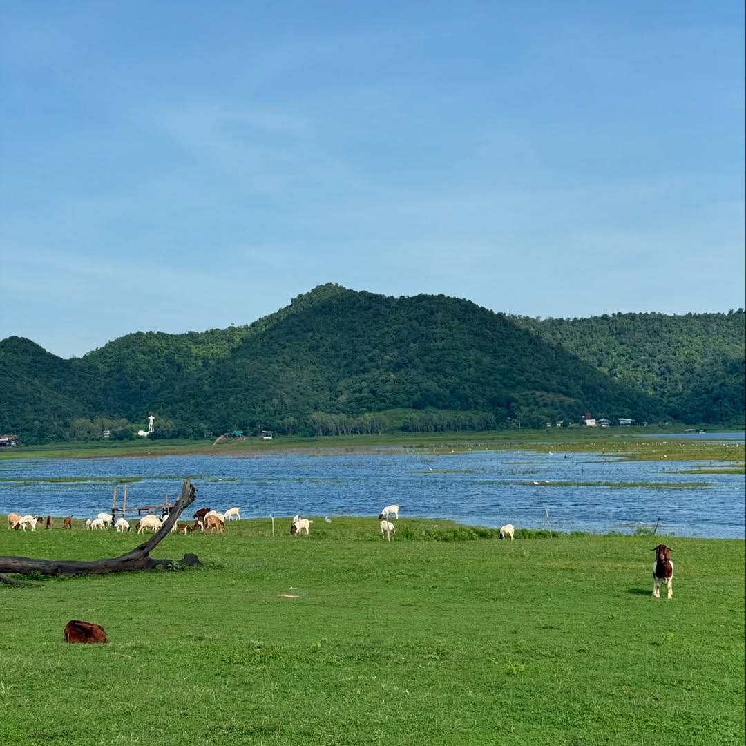 อาย - กมลเนตร เรืองศรี