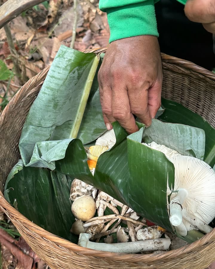 อาย - กมลเนตร เรืองศรี