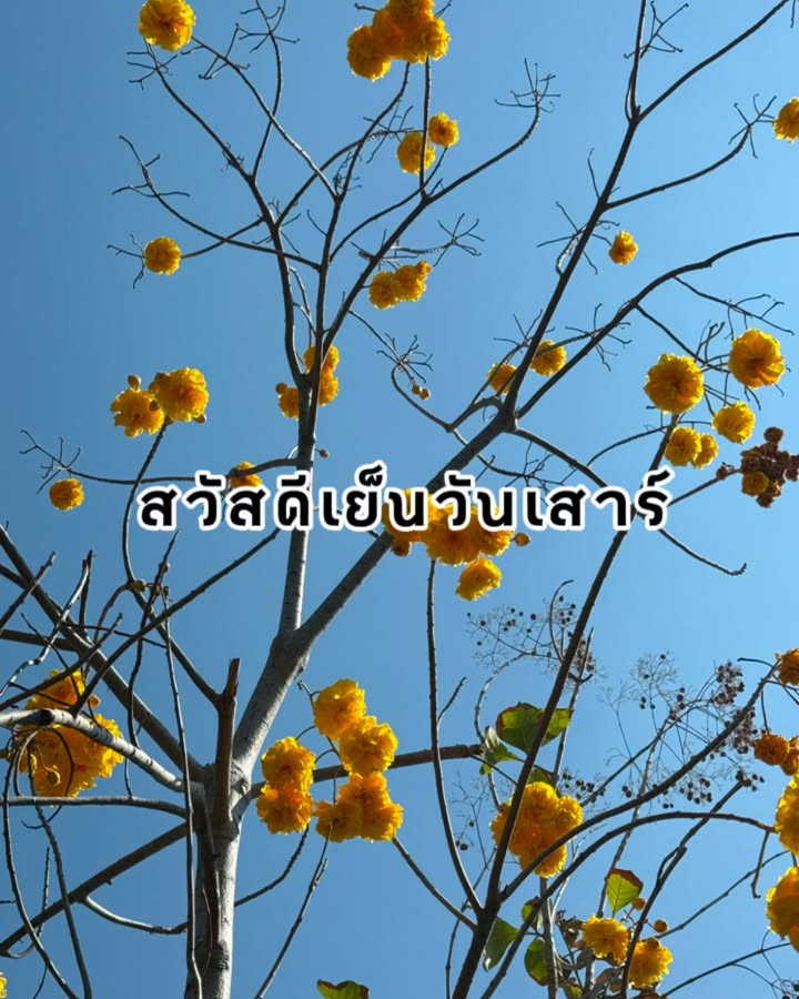 ตู่ - ภพธร สุนทรญาณกิจ