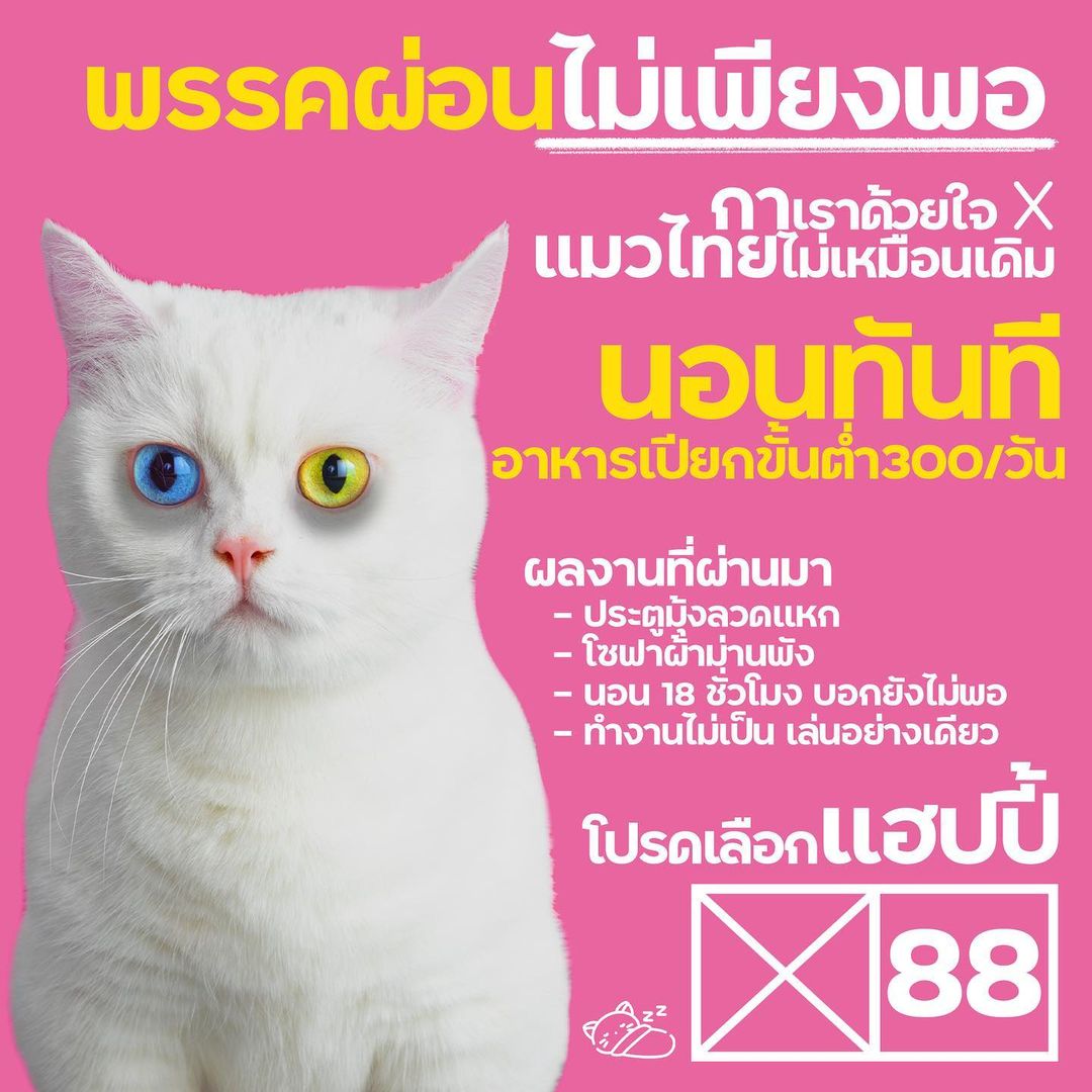 เต๋า - เศรษฐพงศ์ เพียงพอ