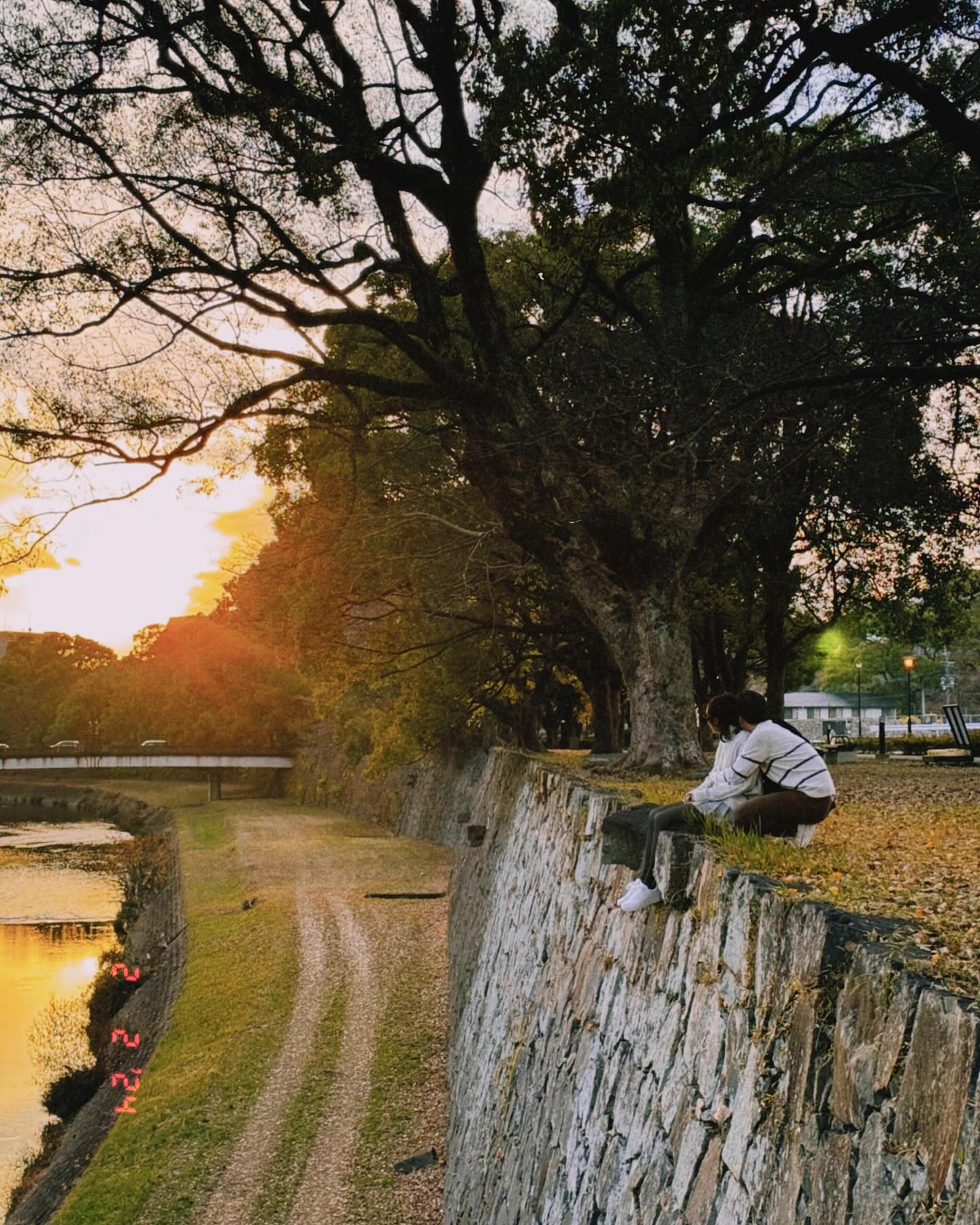 ชิปปี้ - ศิรินทร์ ปรีดียานนท์