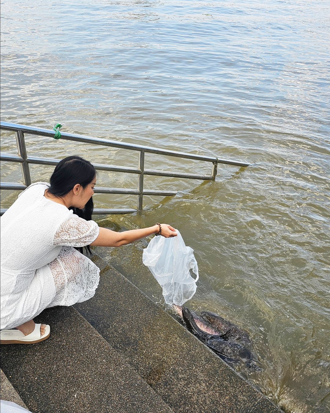 ใหม่ - สุคนธวา เกิดนิมิตร