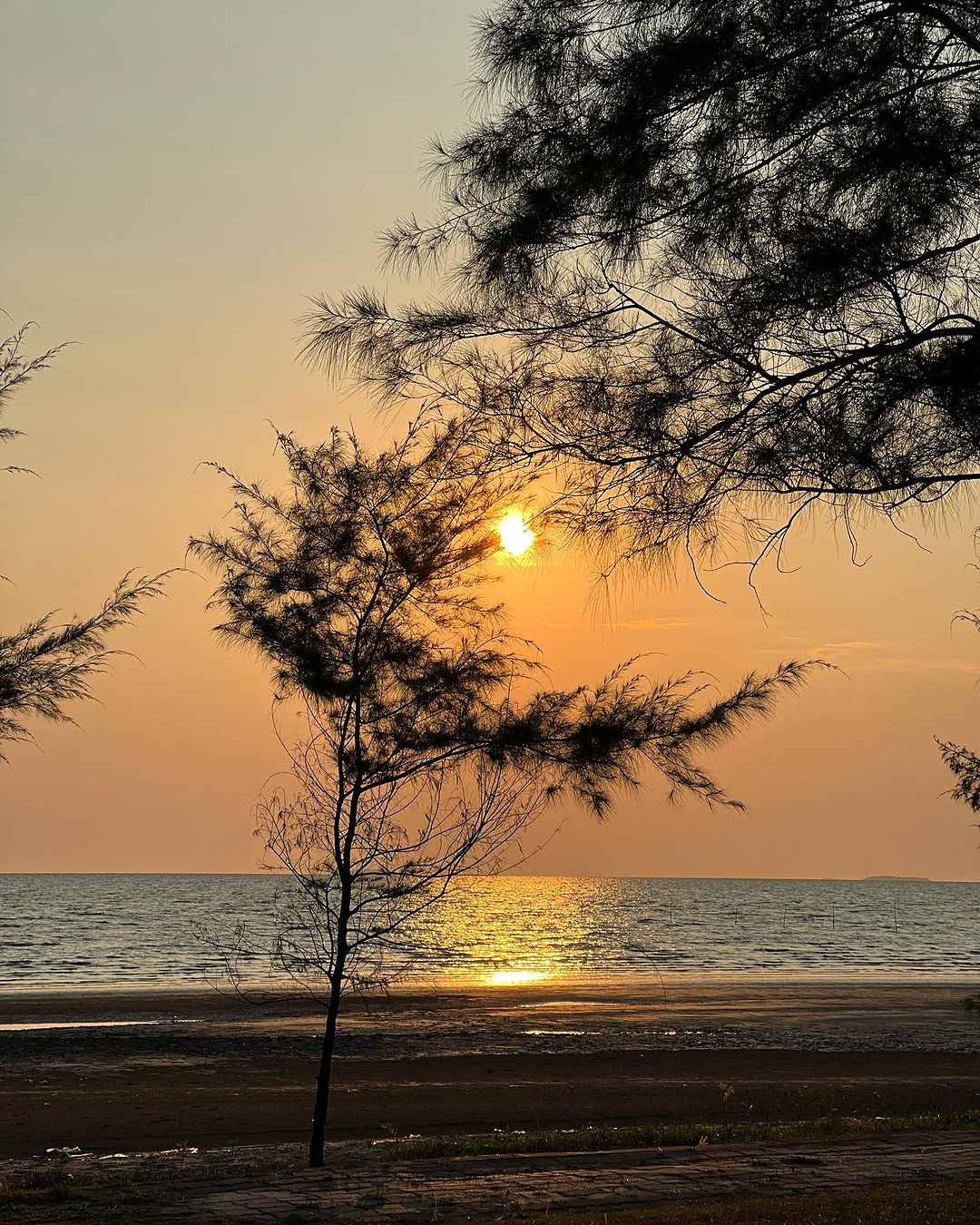 มิ้นท์ - รัญชน์รวี เอื้อกูลวราวัตร