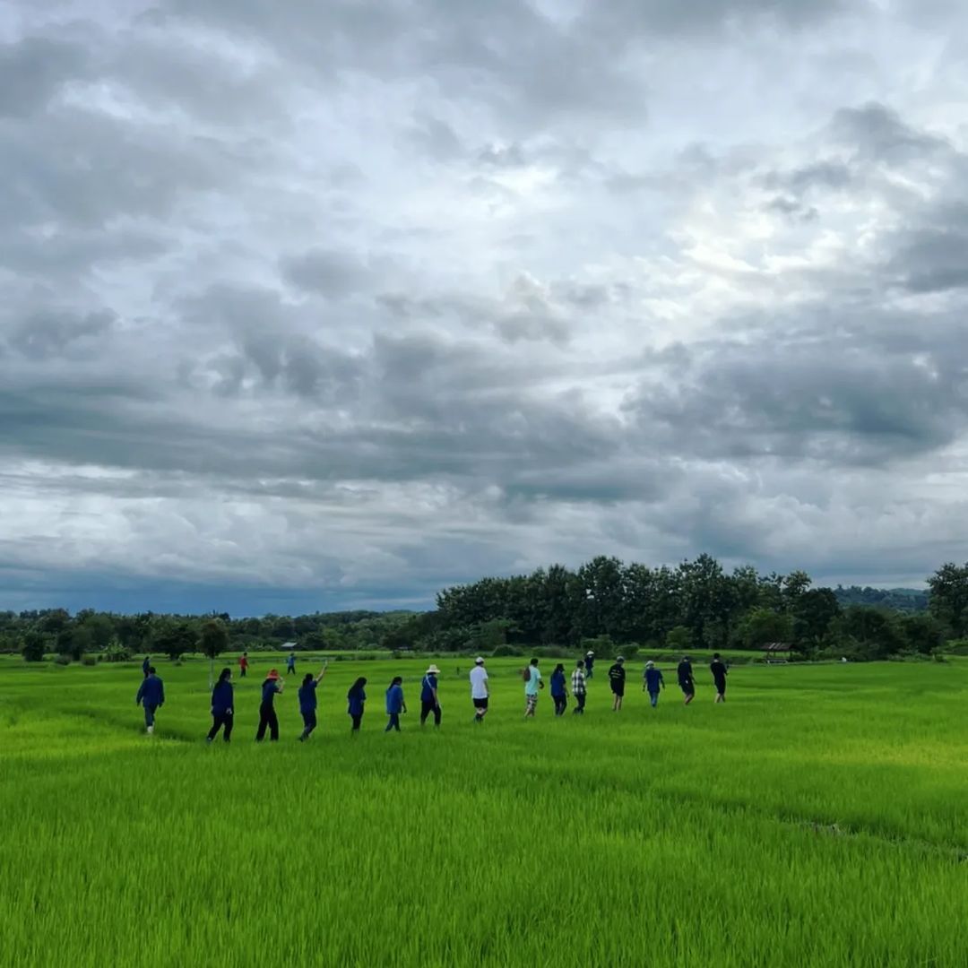 ว่าน - ธนกฤต พานิชวิทย์