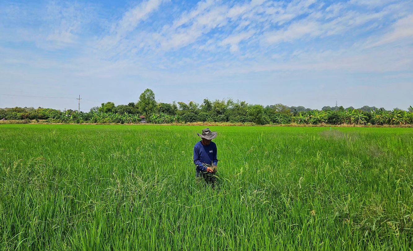 ว่าน - ธนกฤต พานิชวิทย์