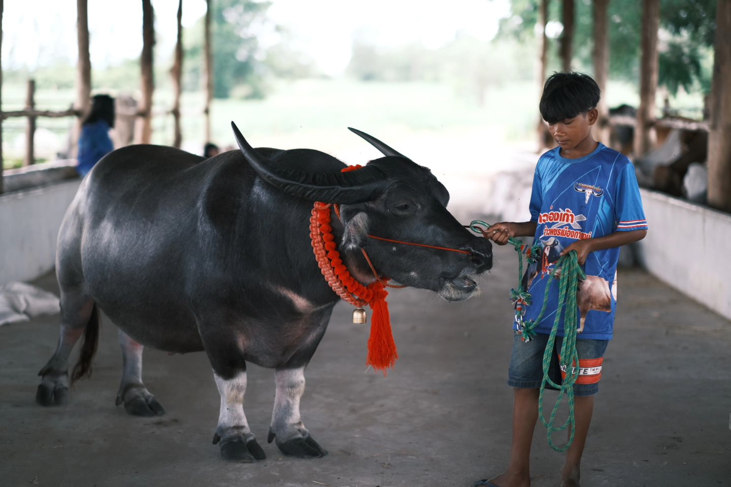 ว่าน - ธนกฤต พานิชวิทย์