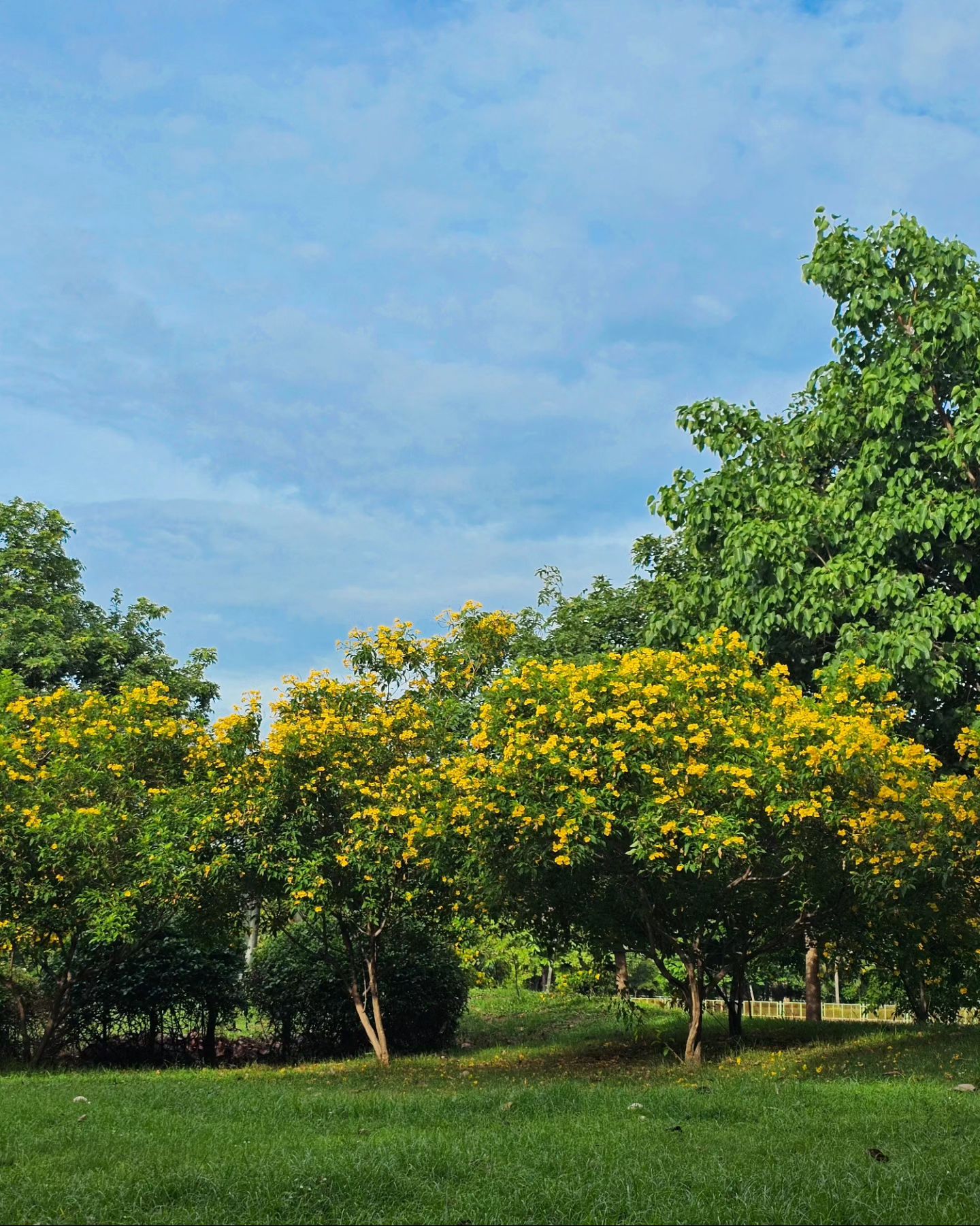 ภณ - ณวัสน์ ภู่พันธัชสีห์