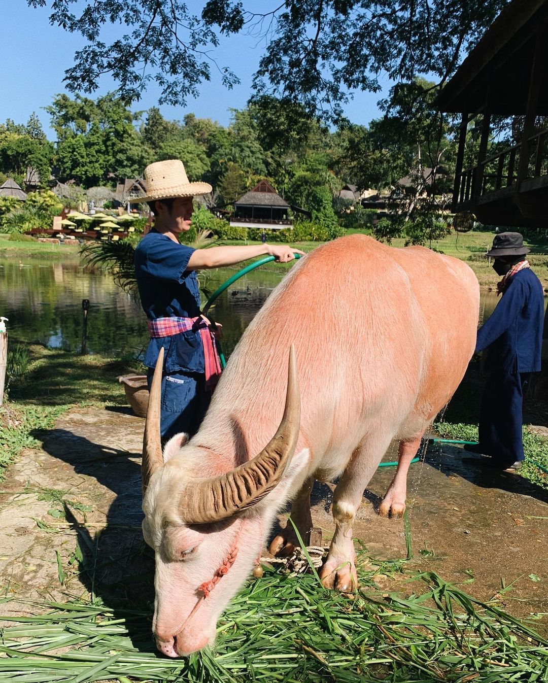 อะตอม - ชนกันต์ รัตนอุดม