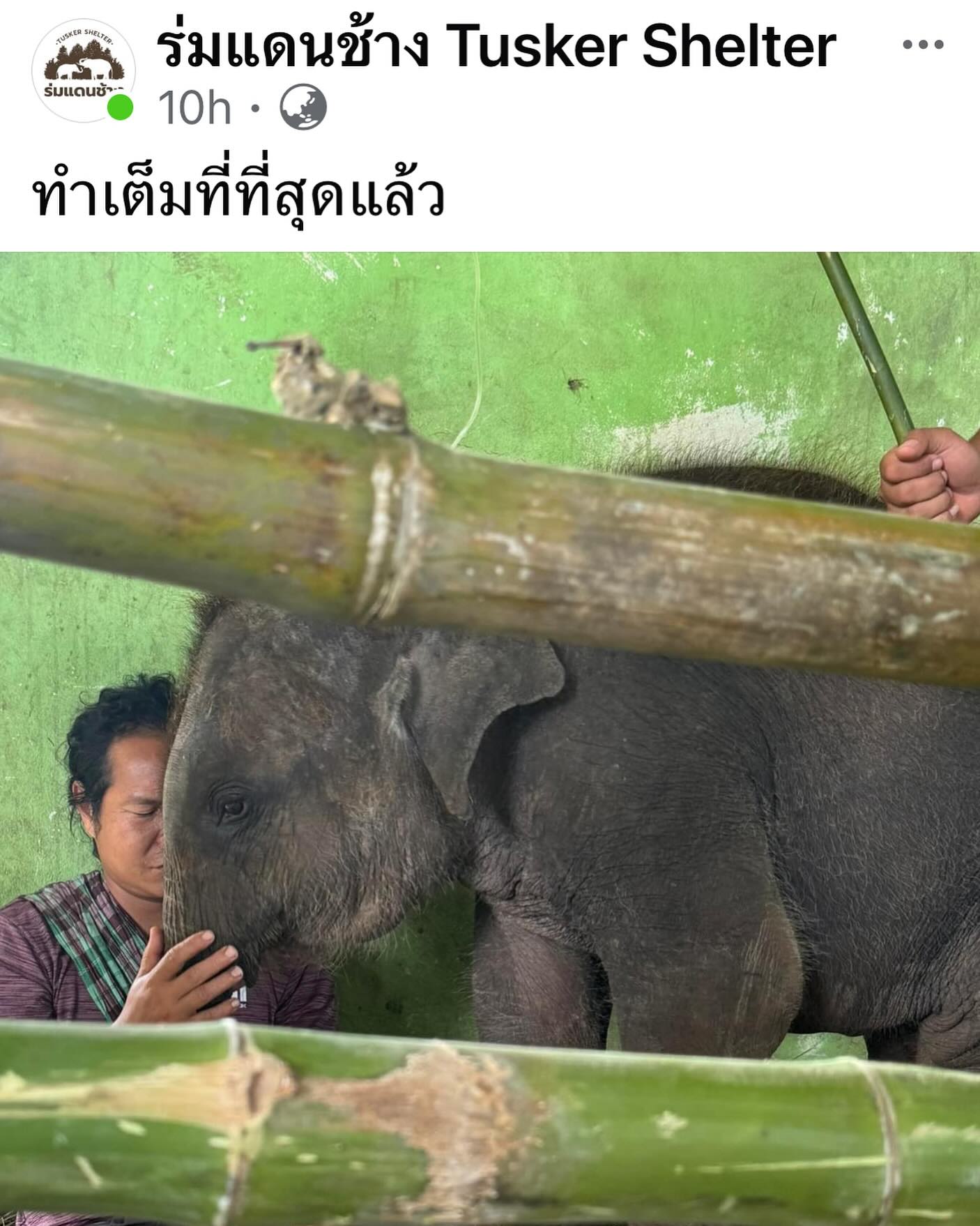 กบ - สุวนันท์ ปุณณกันต์