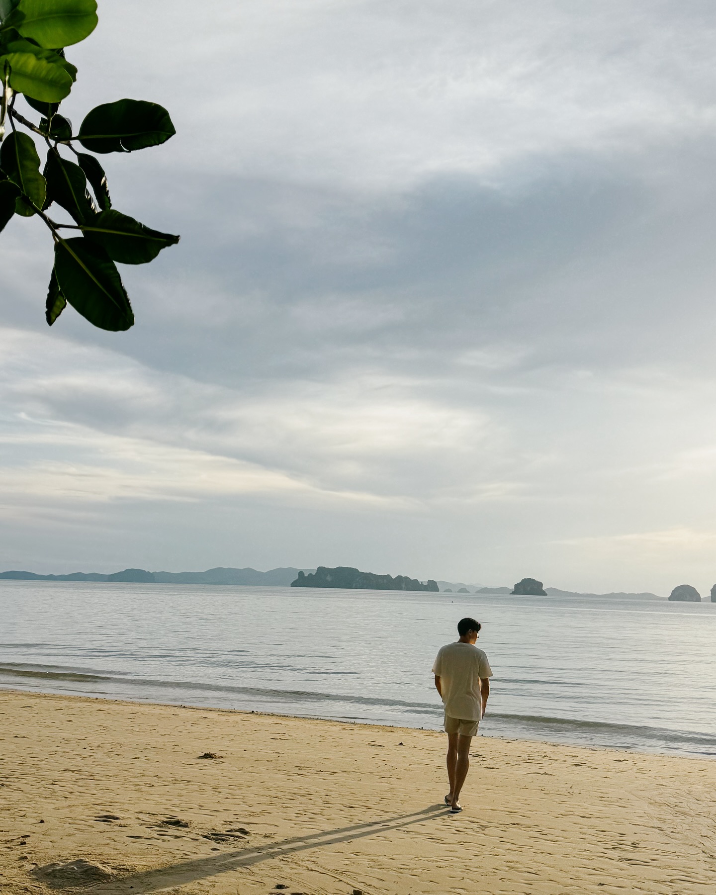 เจมส์ - จิรายุ ตั้งศรีสุข