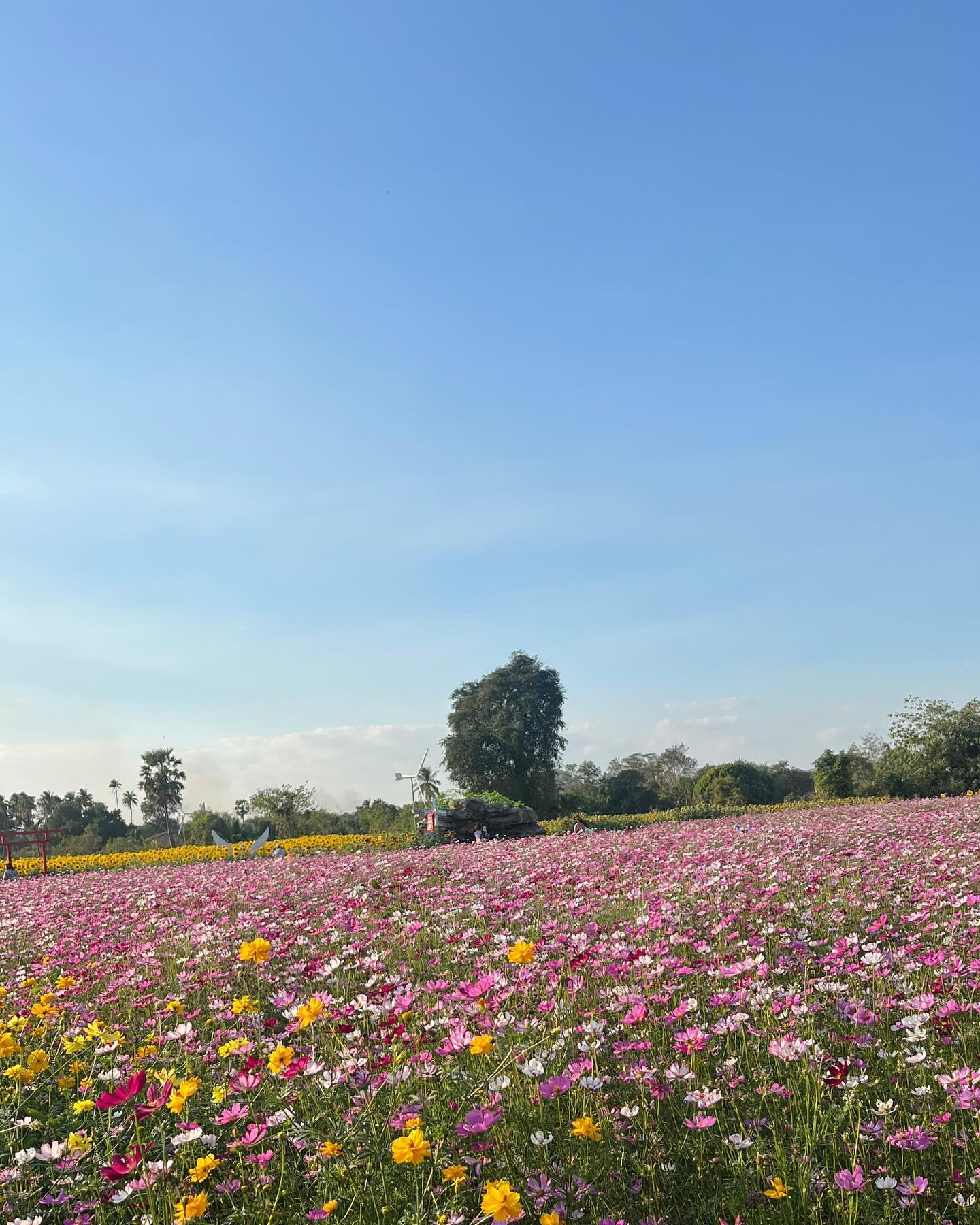 ภูมิ - ภูริพันธ์ ทรัพย์แสงสวัสดิ์