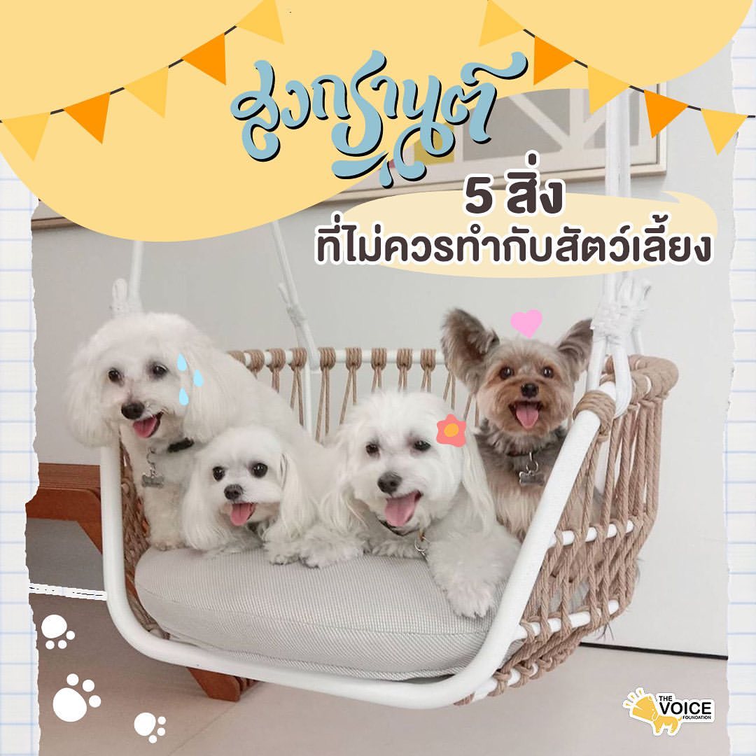 เก๋ - ชลลดา เมฆราตรี