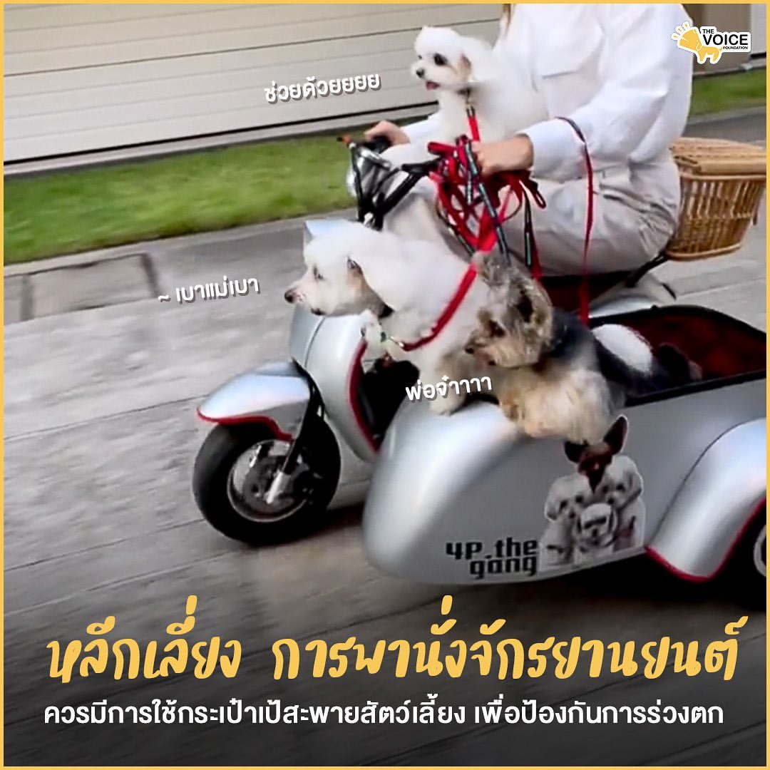 เก๋ - ชลลดา เมฆราตรี