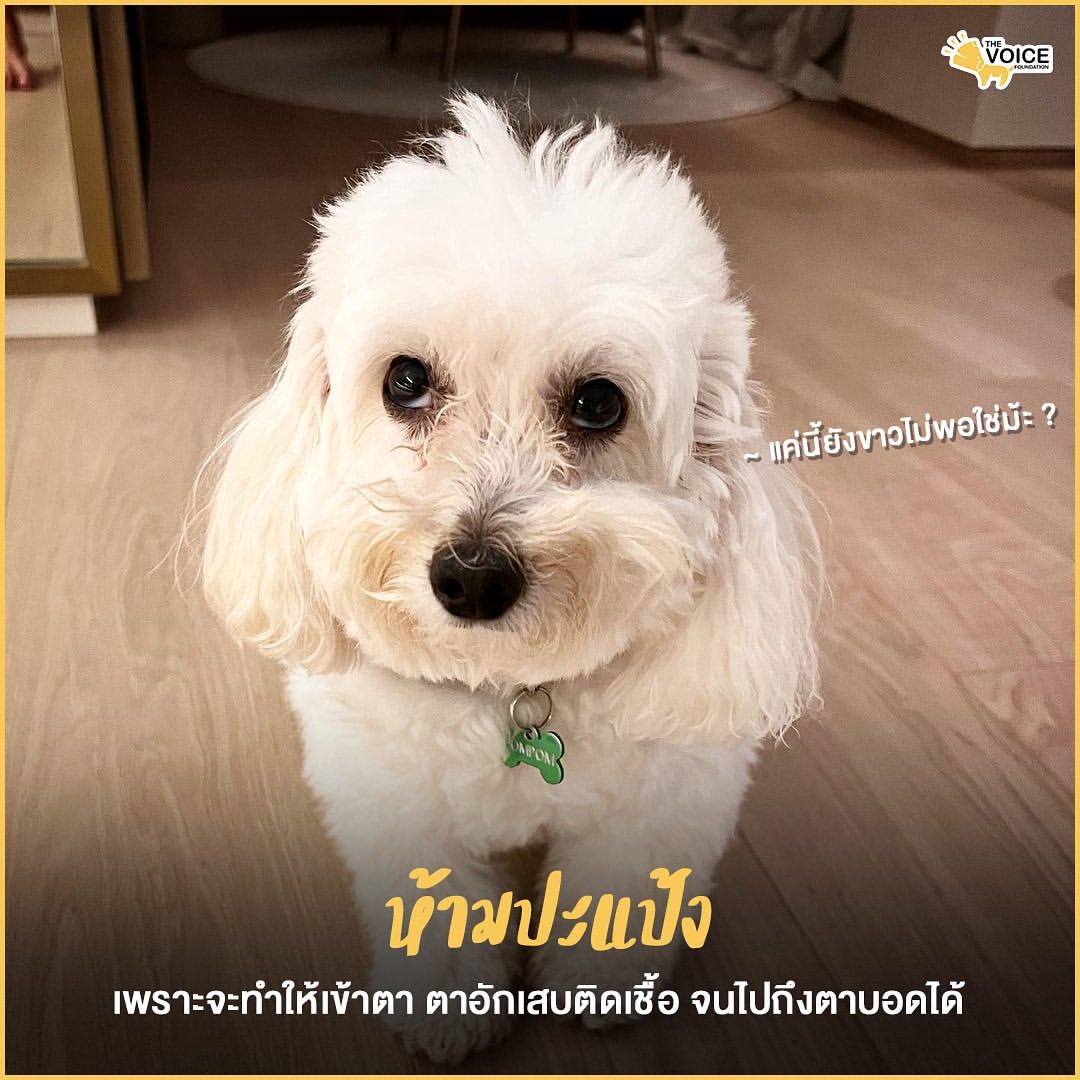 เก๋ - ชลลดา เมฆราตรี