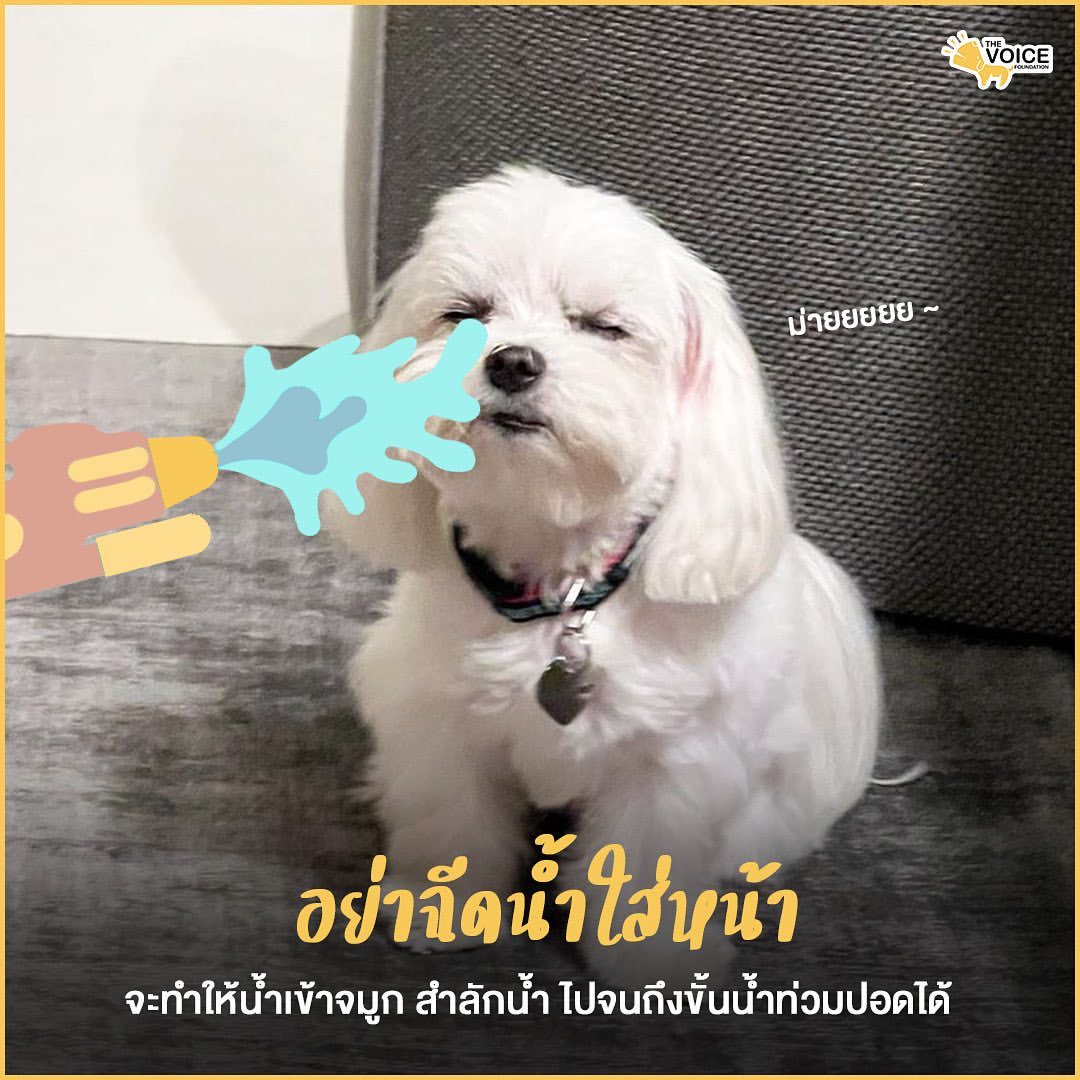 เก๋ - ชลลดา เมฆราตรี