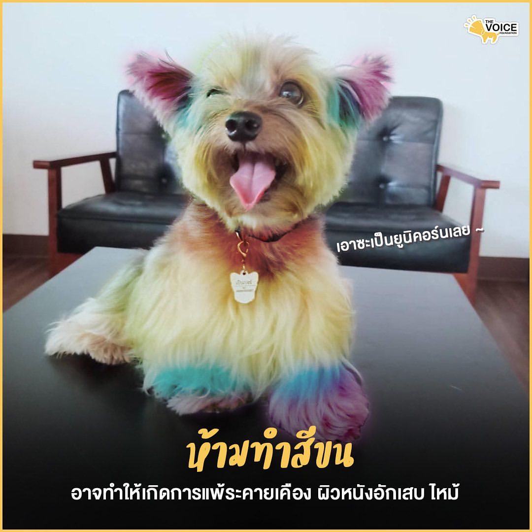 เก๋ - ชลลดา เมฆราตรี