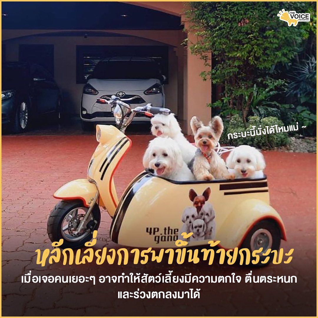 เก๋ - ชลลดา เมฆราตรี