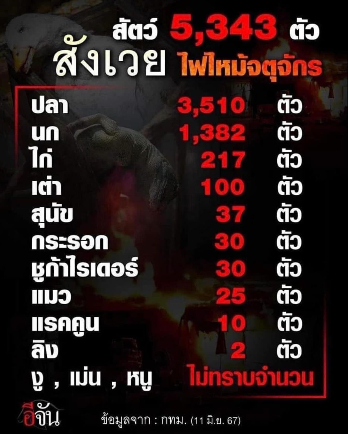 เก๋ - ชลลดา เมฆราตรี