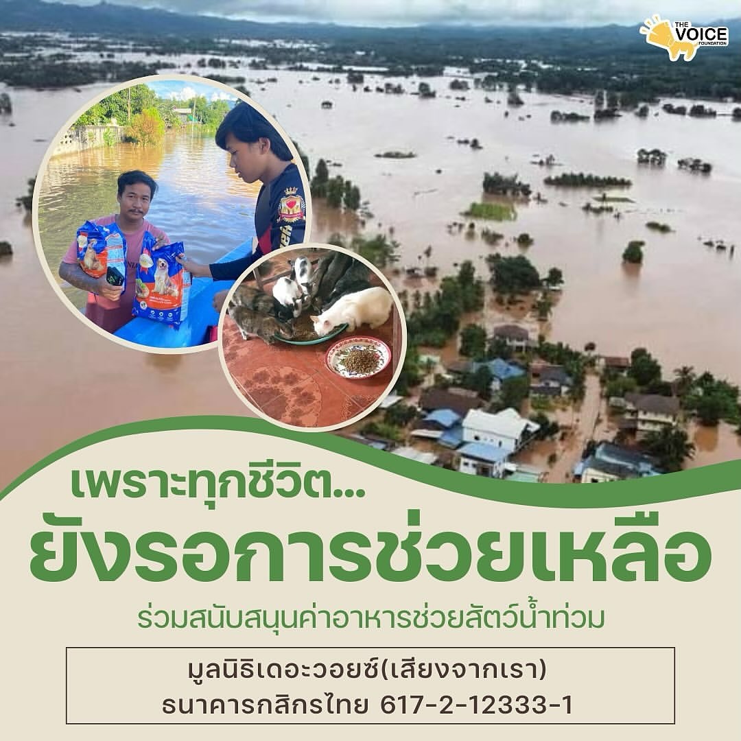 เก๋ - ชลลดา เมฆราตรี