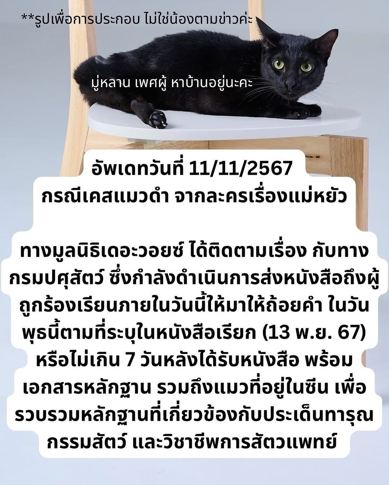 เก๋ - ชลลดา เมฆราตรี