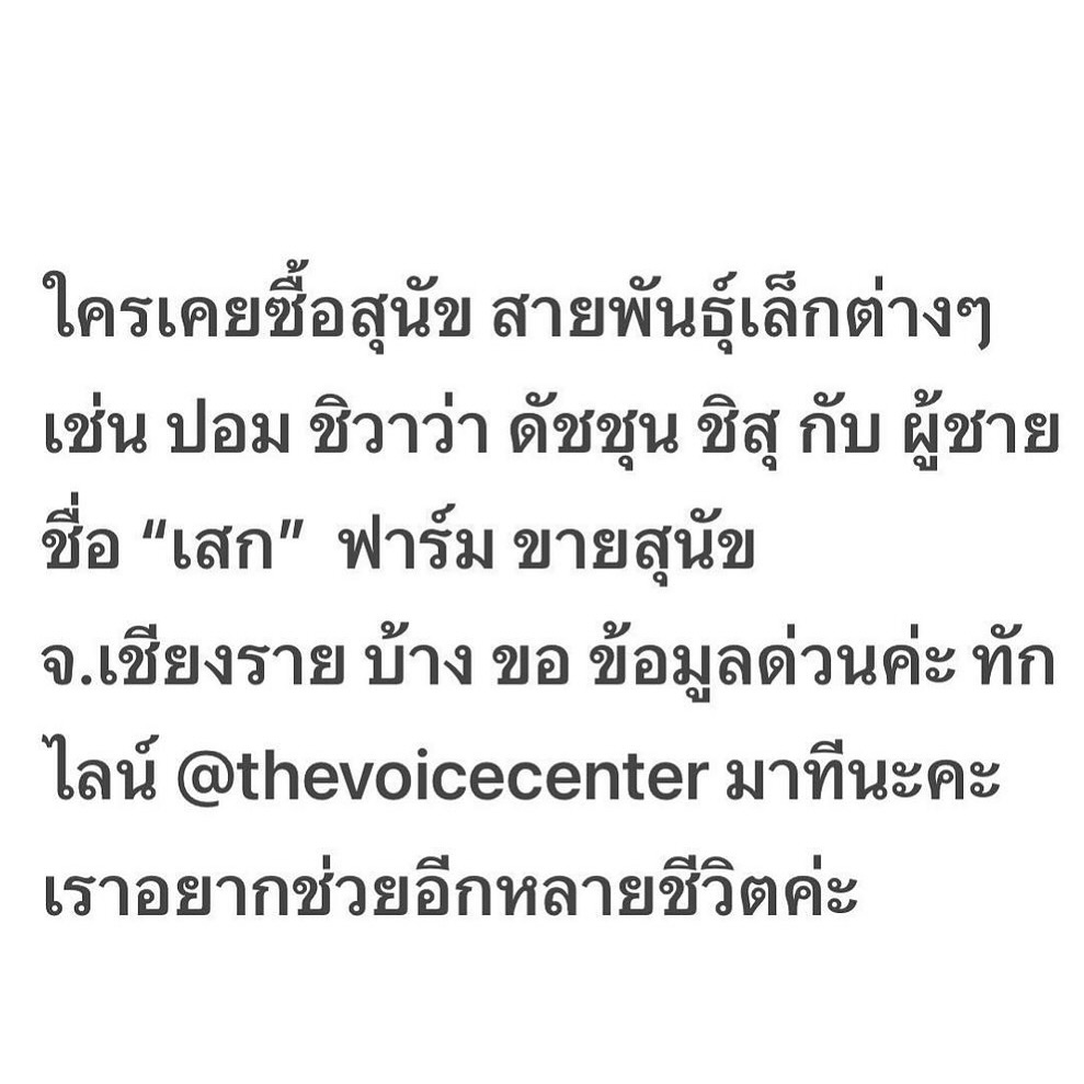 เก๋ - ชลลดา เมฆราตรี