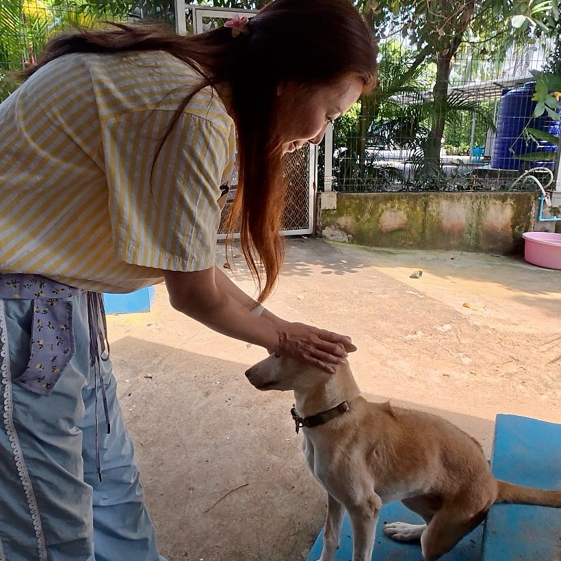 เก๋ - ชลลดา เมฆราตรี