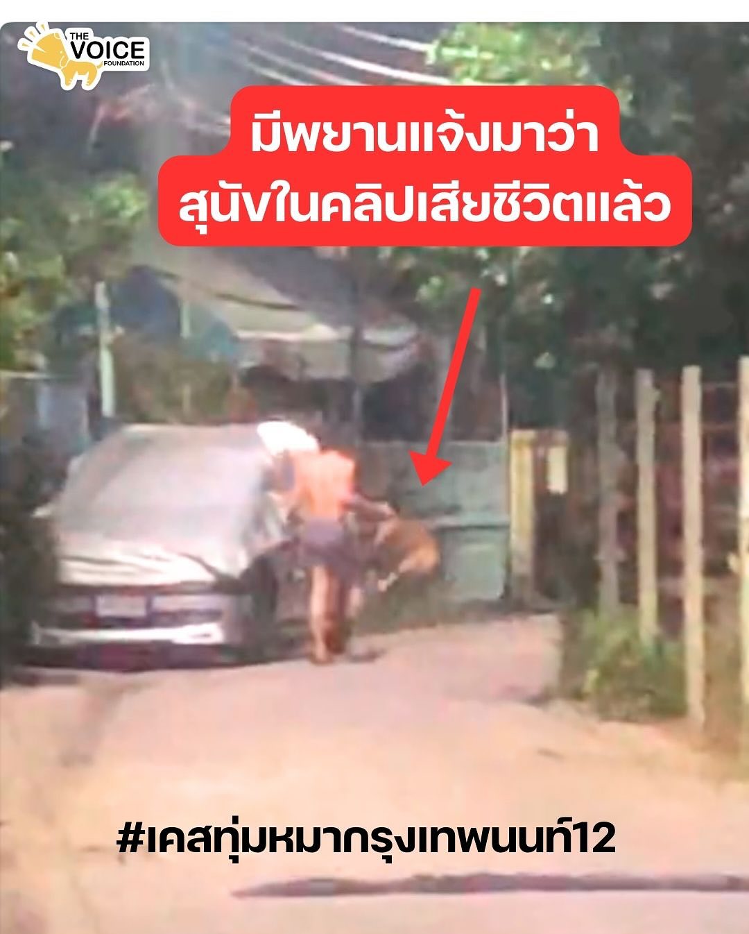 เก๋ - ชลลดา เมฆราตรี