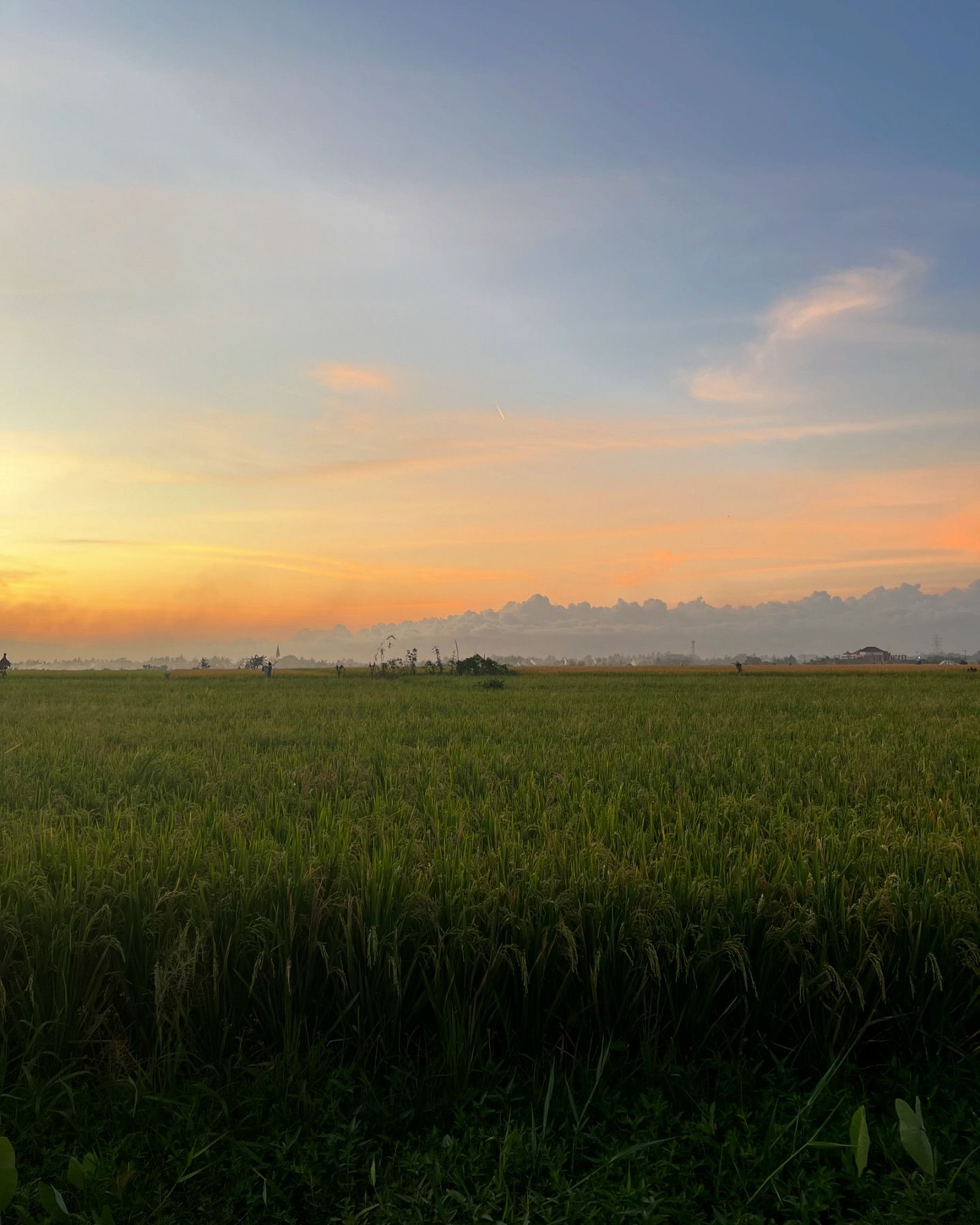 เน๋ง - ศรัณย์ นราประเสริฐกุล