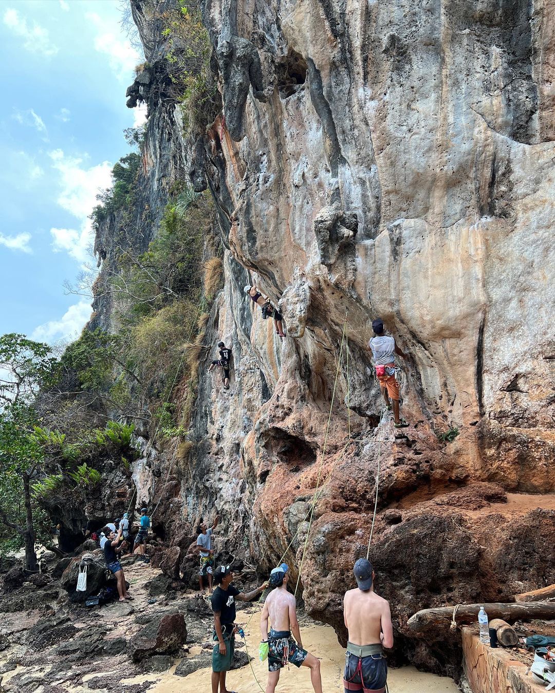 สิงโต - ปราชญา เรืองโรจน์