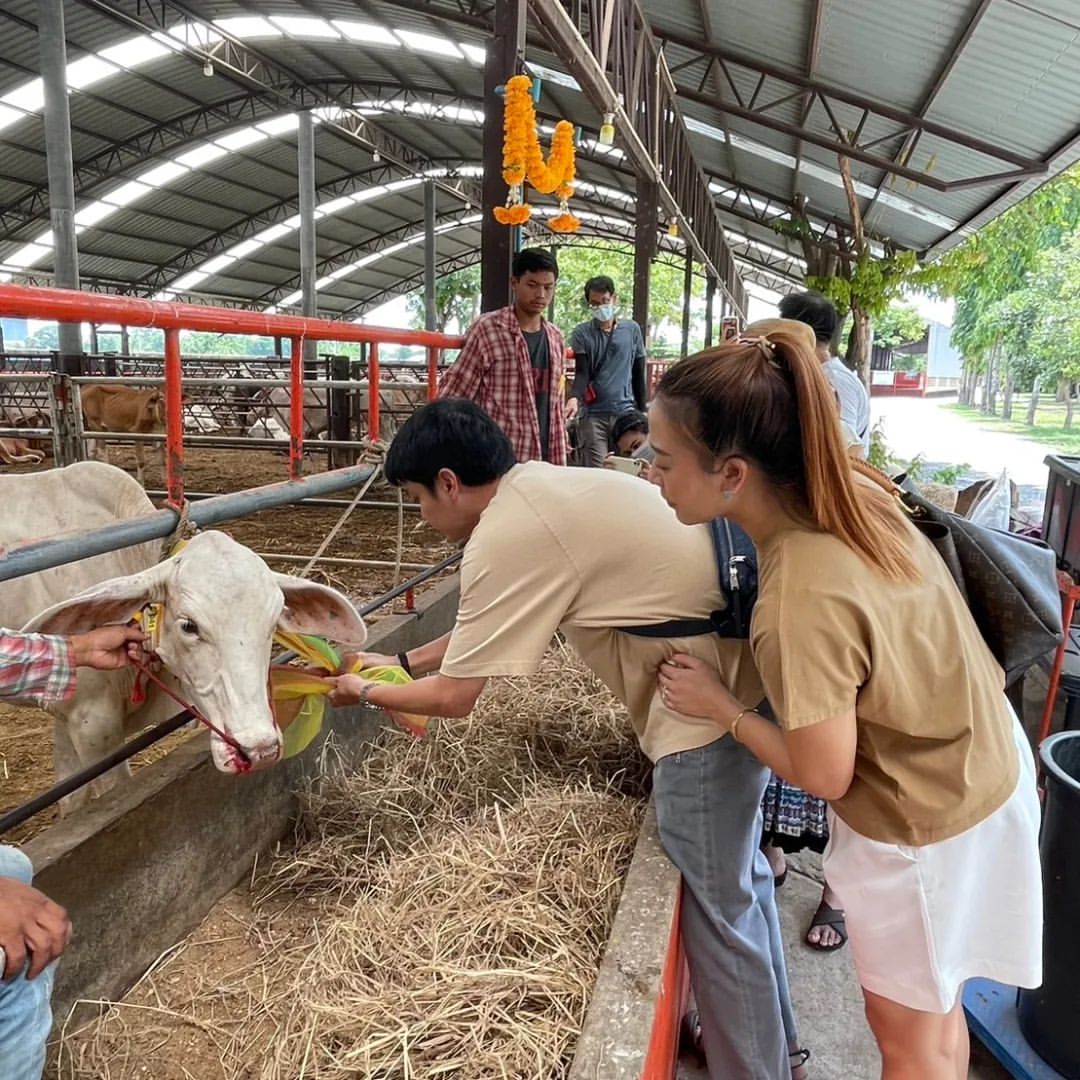 เขตต์ ฐานทัพ