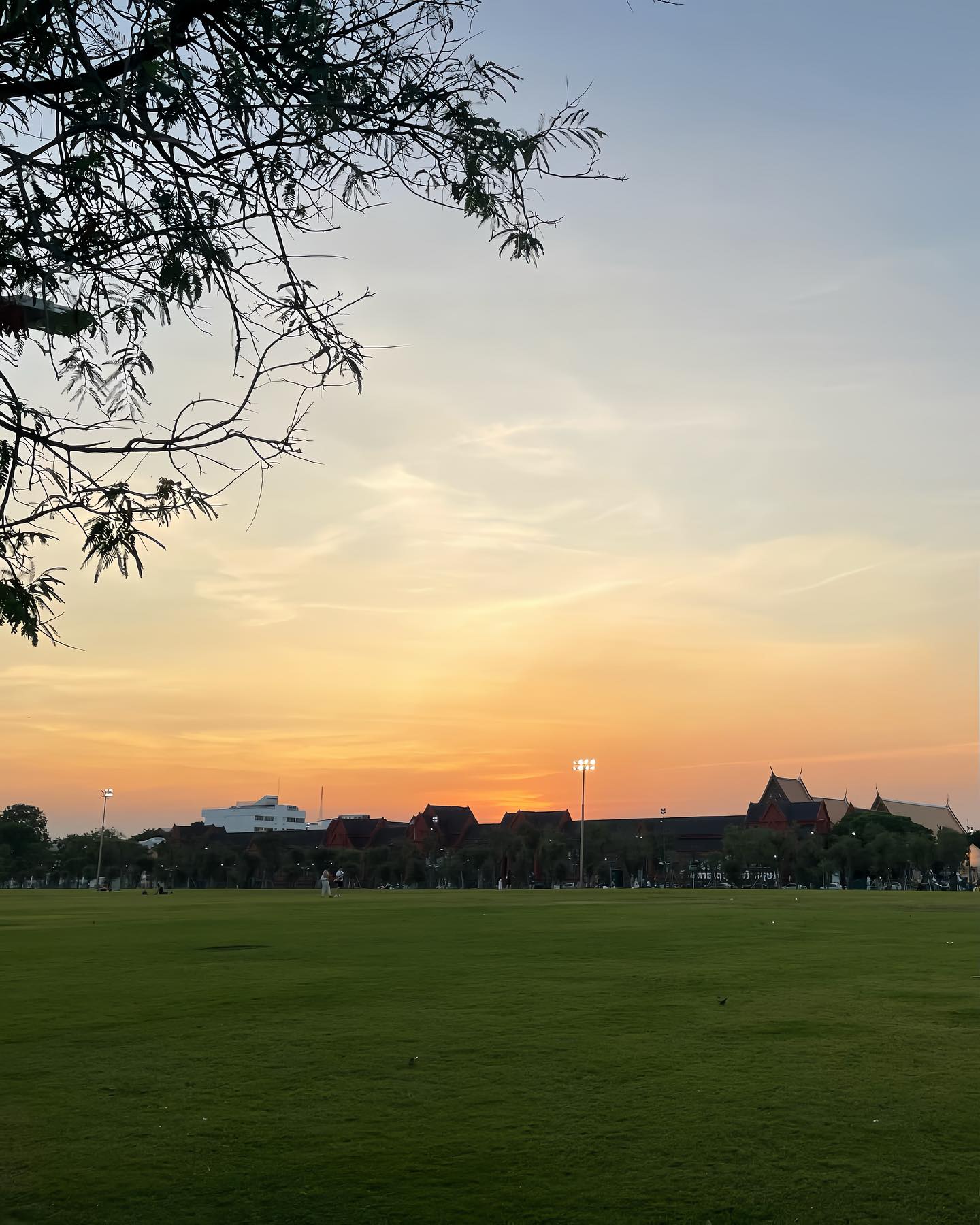 ตูน - พิมพ์ปวีณ์ โคกระบินทร์